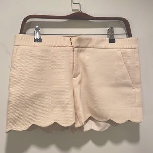 Club Monaco Amber Short brand new with tag